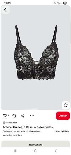 Screenshot_20250728_131949_Pinterest