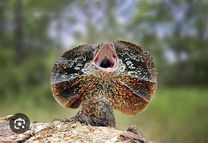 Screenshot_20250515_211428_Google