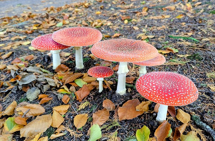 PXL_20251011_125056444~2