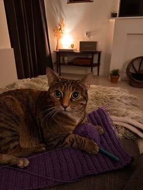 IMG_4902