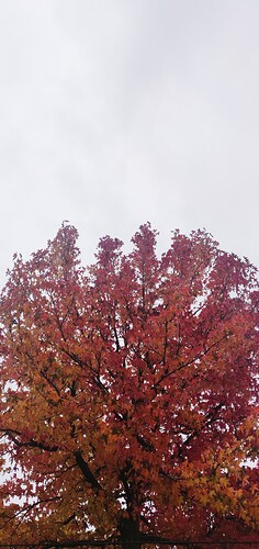IMG_20221017_141013__01