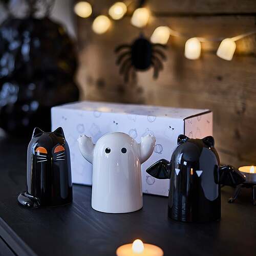 kustfyr-decoratie-set-van-3-gemengde-vormen__1530765_pe1015445_s5