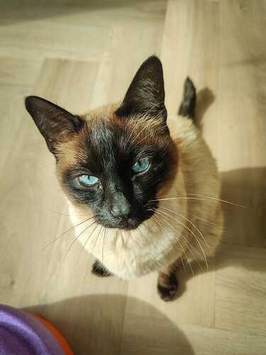 IMG-20230326-WA0013