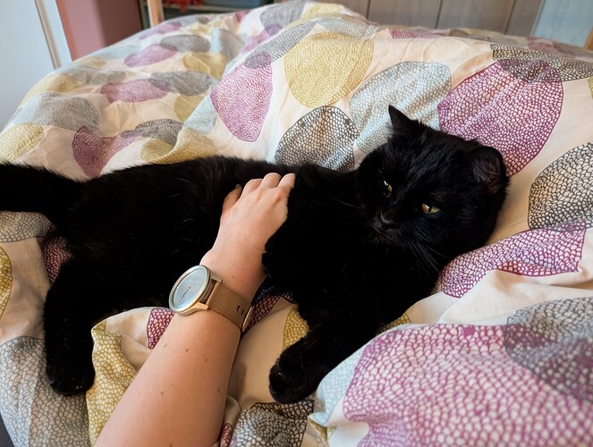 PXL_20260226_084755424.MP