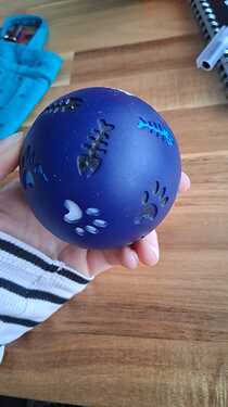 WhatsApp Image 2026-01-29 at 11.11.56