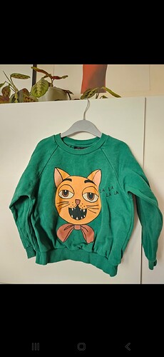 Screenshot_20251026_172943_Vinted