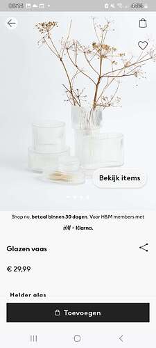 Screenshot_20240218_081456_H&M