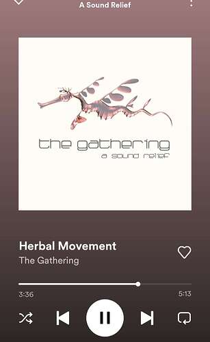 Screenshot_20230602_080329_Spotify