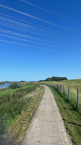 IMG_4156
