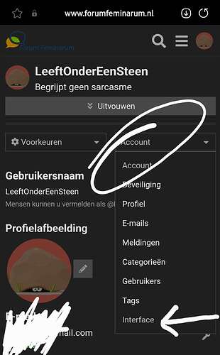 Screenshot_20250715_233210_Samsung Internet