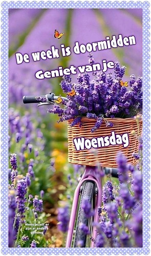 FB_IMG_1782282186928