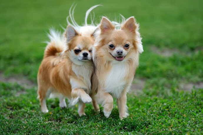 fotolia_117128202-768x511