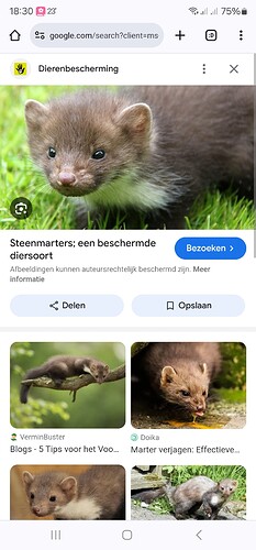 Screenshot_20240715_183039_Chrome
