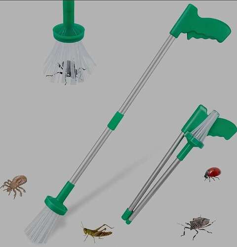 Screenshot_20260913_152801_Samsung Browser