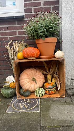 IMG_7229