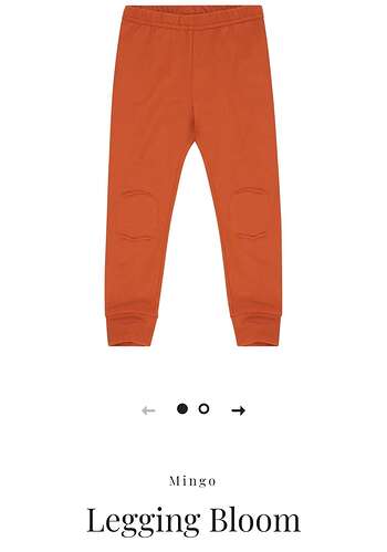 Screenshot_20250628_081916_Chrome