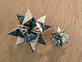 PXL_20231201_204835131.MP