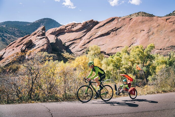 Weehoo+Bike+Trailer+Sun+Shade+Road+Bike+2-508867872