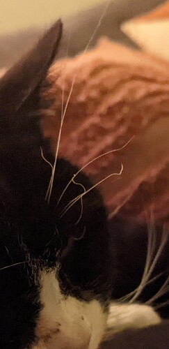 Screenshot_20231225-101520