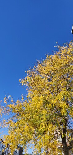 IMG_20221009_122353