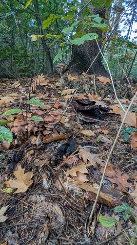 PXL_20251022_101620479