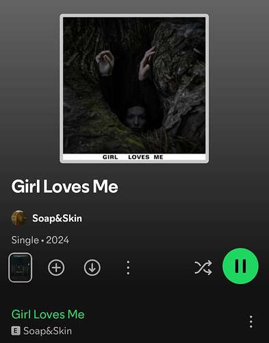 Screenshot_20241017_144931_Spotify