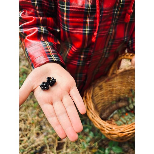 Whitagram-Image