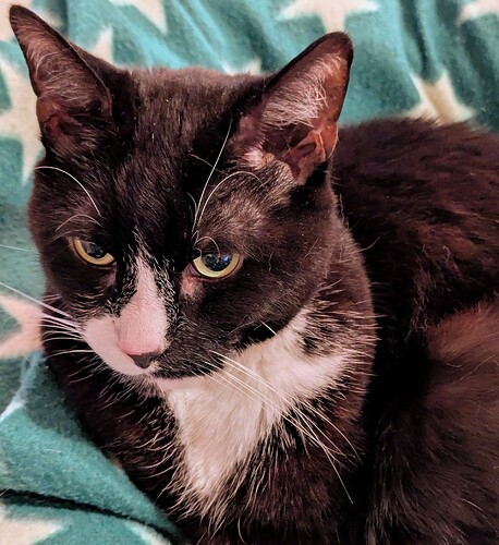 PXL_20260115_192143554~2