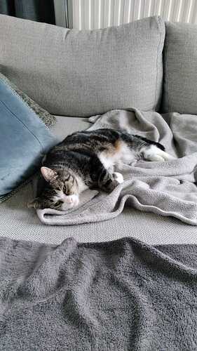 IMG-20231208-WA0004