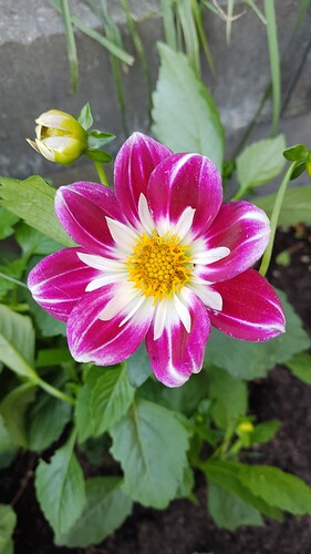 IMG_20230706_201358
