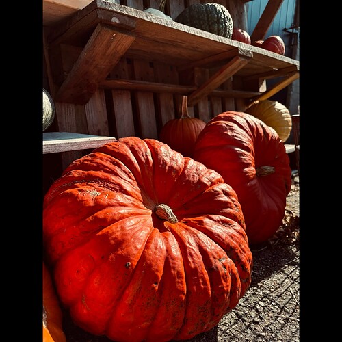 Whitagram-Image