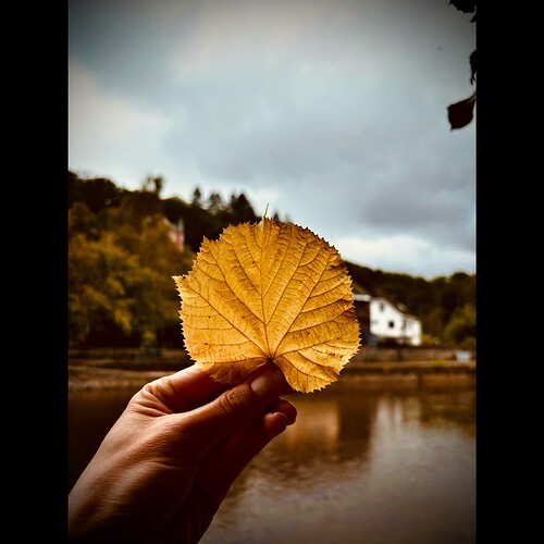 Whitagram-Image