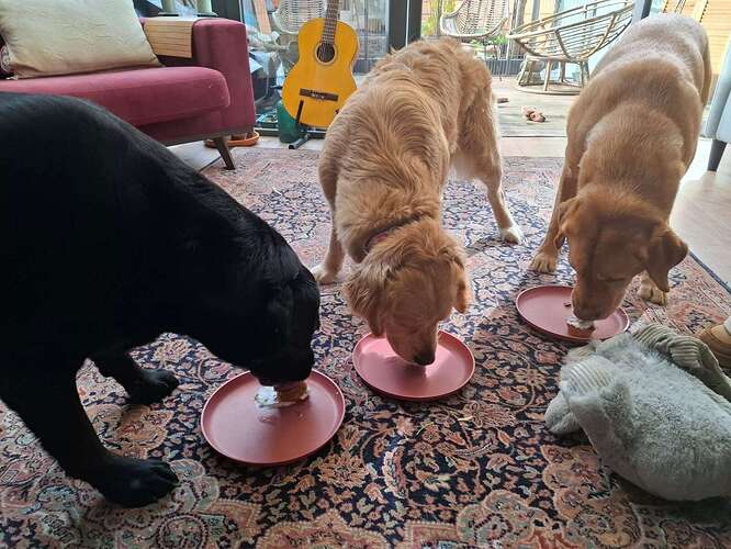 84f820fa-34bd-4915-9130-68ce728667bf