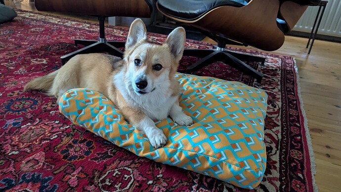 PXL_20250824_141259081