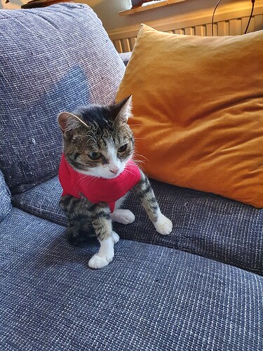 20201022_144955_Original