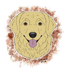 2022-11-15-GoldenRetriever-GoldInsta