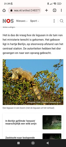 Screenshot_2023-07-22-21-39-45-184_com.android.chrome