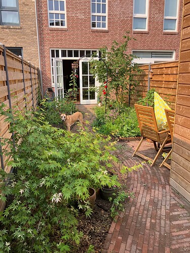 10 juni 2025_9119