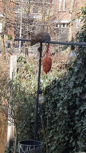 VideoCapture_20240110-172220