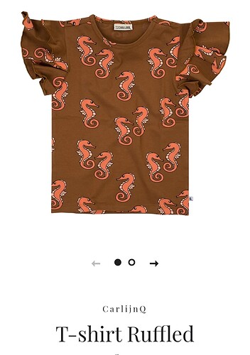 Screenshot_20250628_082154_Chrome