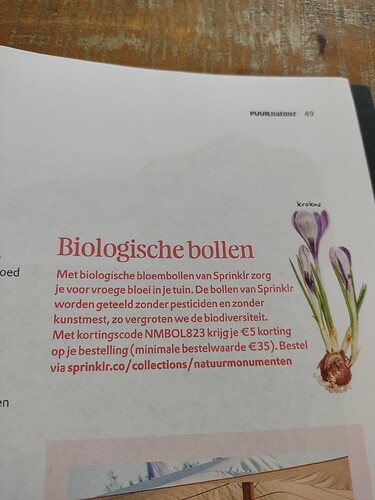 17575872484393035931625034991309