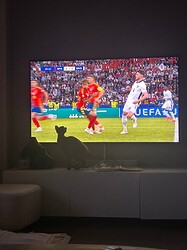 IMG_1989
