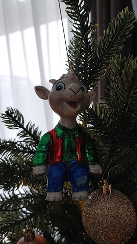 IMG-20221209-WA0014