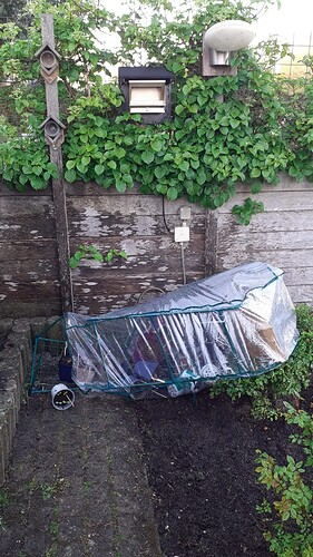 IMG-20250419-WA0011