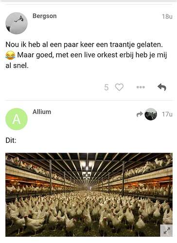 Screenshot_20251017_163726