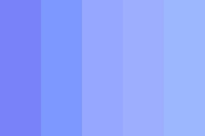 43580578c35a8c6c88e87428158202a7