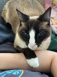 IMG_2122