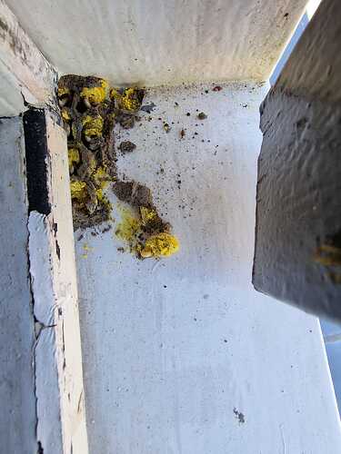 IMG-20230603-WA0004