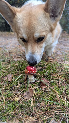 PXL_20251007_100001619