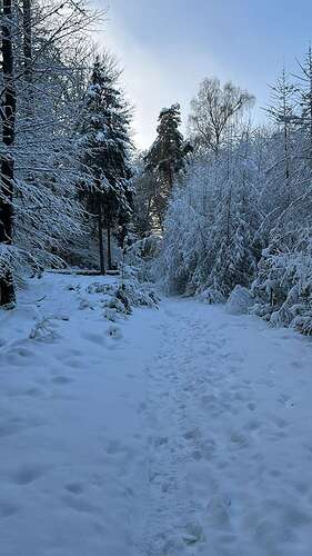 6e073847-b2bc-4dee-aad8-e5b597cc640c